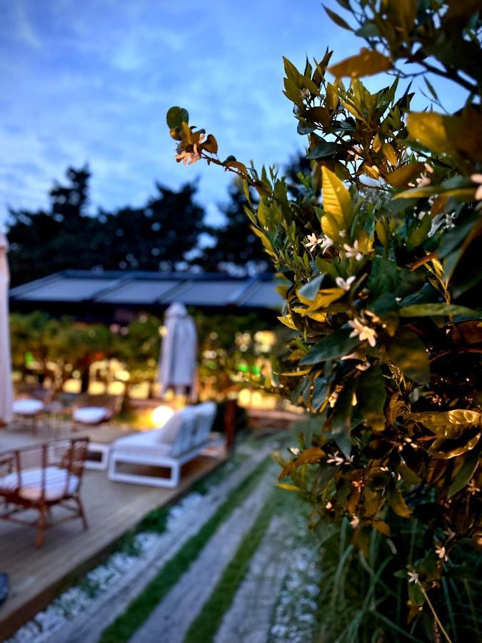 Hotel Tiny Town Kuyucak Karaburun  Exteriér fotografie